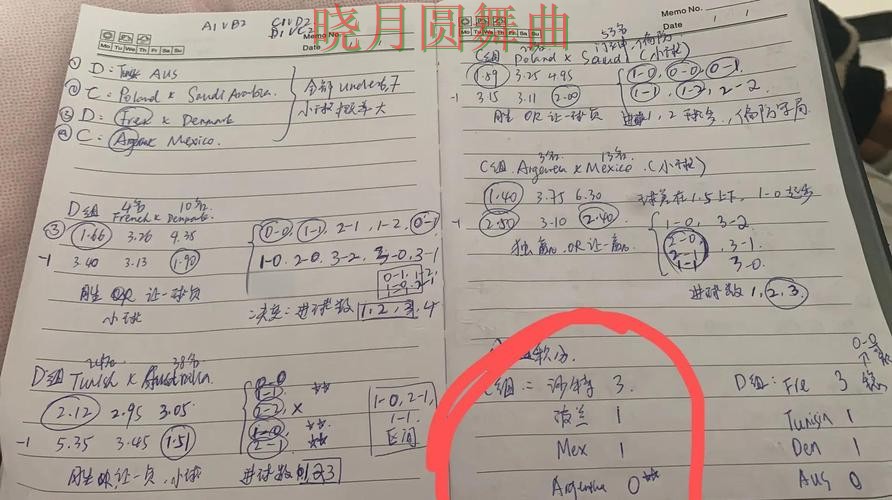 世界杯投注登录页面体验差异有哪些,避坑思路分享 世界杯投注登录页面体验差异有哪些,避坑思路分享